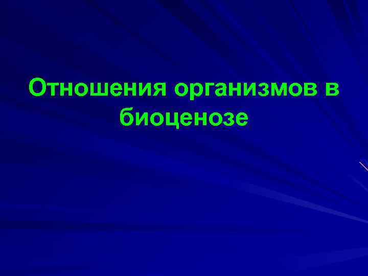 Отношения организмов в биоценозе 