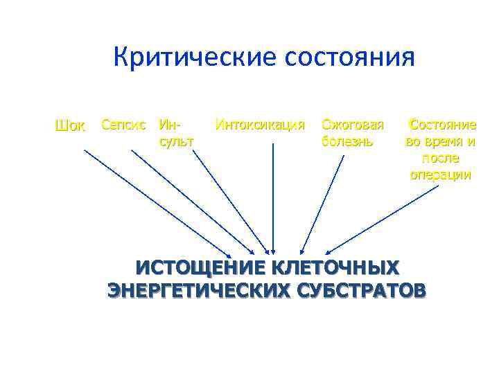 Критические состояния Шок Сепсис Инсульт Интоксикация Ожоговая болезнь Состояние во время и после операции