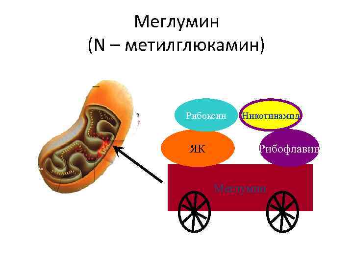 Меглумин (N – метилглюкамин) Рибоксин ЯК Никотинамид Рибофлавин Меглумин 