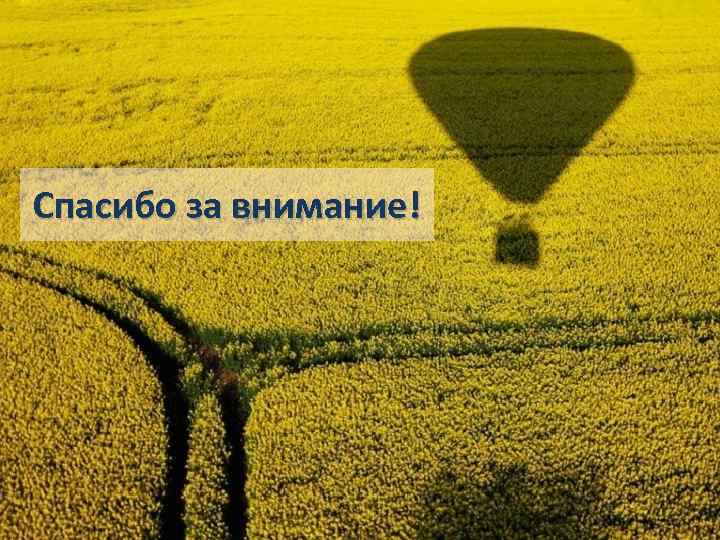 Спасибо за внимание! 