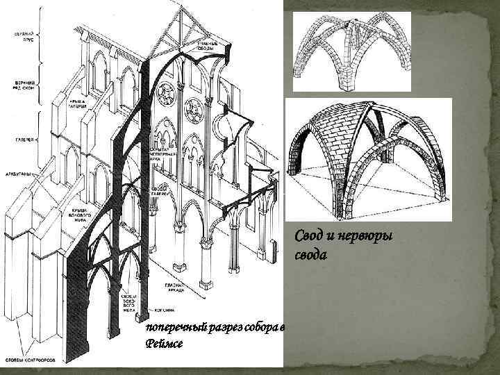 Свод и нервюры свода поперечный разрез собора в Реймсе 