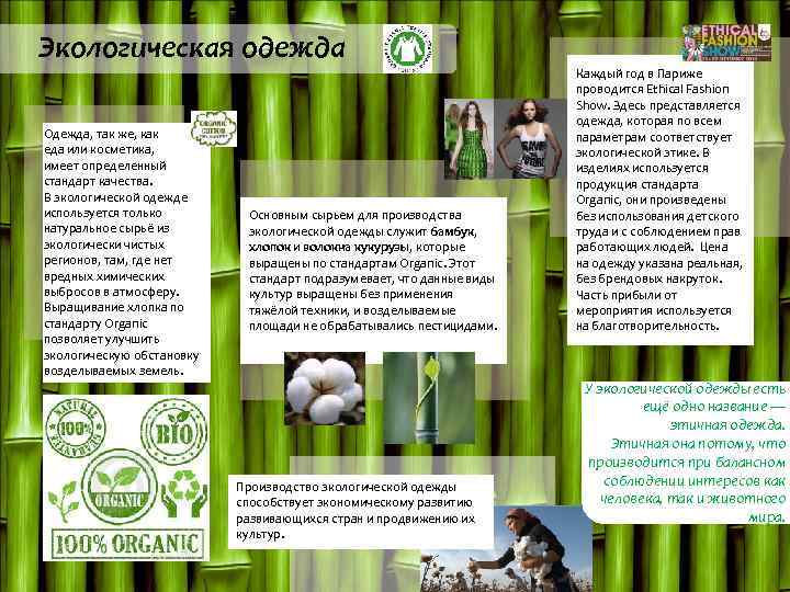 Экологическая одежда Одежда, так же, как еда или косметика, имеет определенный стандарт качества. В