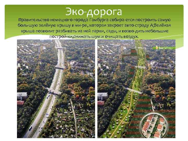 Эко дорога Правительство немецкого города Гамбурга собира ется построить самую боль шую зелёную крышу