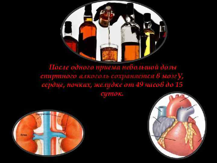 После одного приема небольшой дозы спиртного алкоголь сохраняется в мозг. У, сердце, почках, желудке