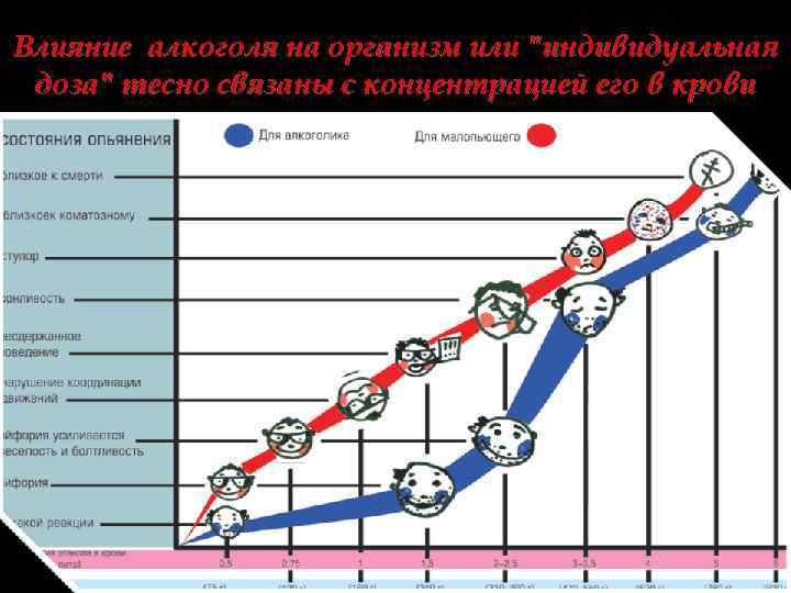 Влияние алкоголя на организм или 