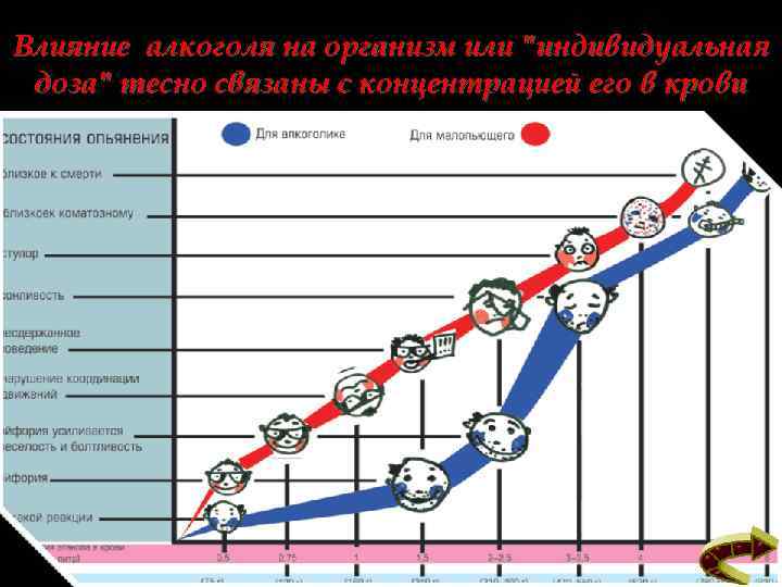 Влияние алкоголя на организм или 