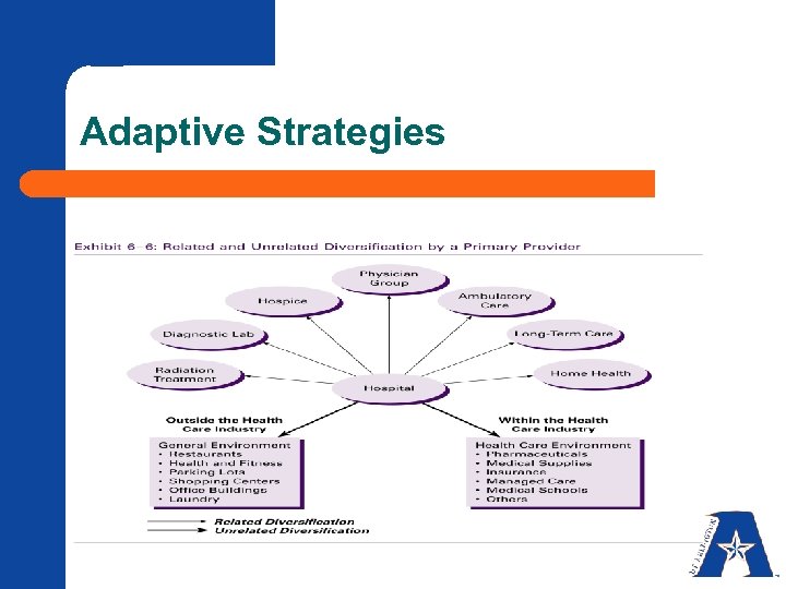 Adaptive Strategies 