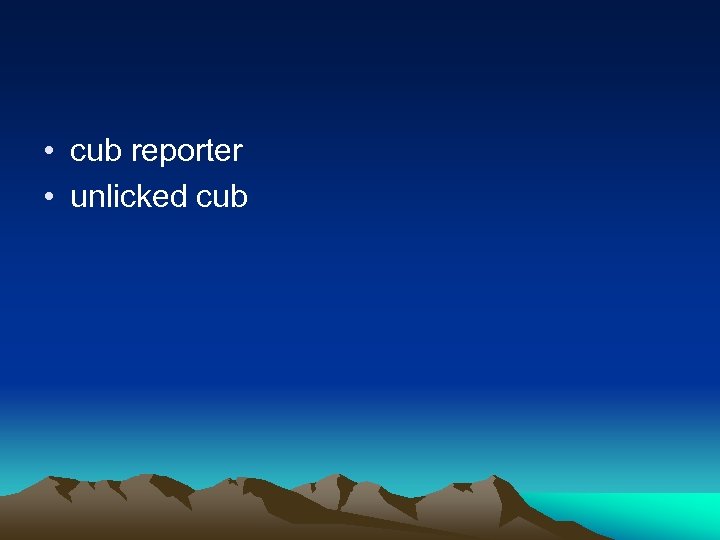  • cub reporter • unlicked cub 