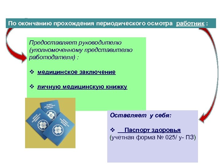 В какой срок уполномоченный руководитель