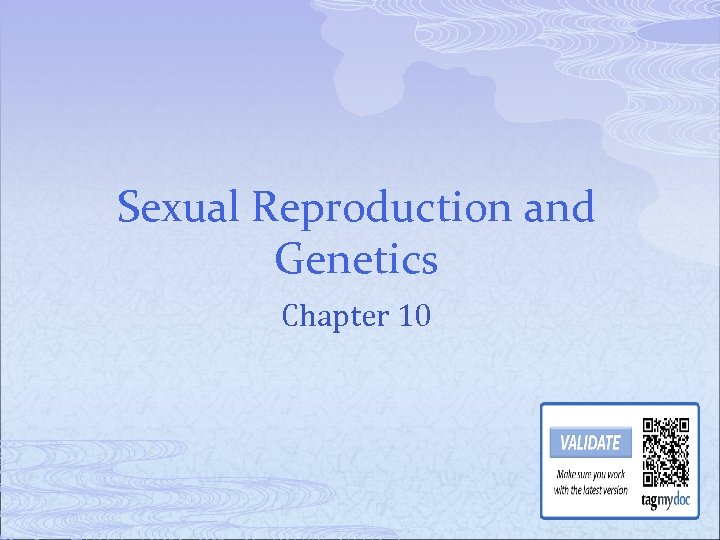 Sexual Reproduction And Genetics Chapter 10 P