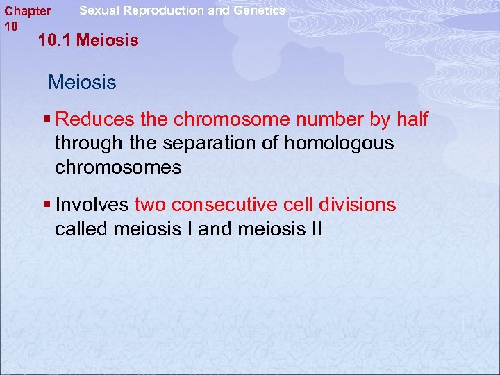 Chapter 10 Sexual Reproduction and Genetics 10. 1 Meiosis § Reduces the chromosome number