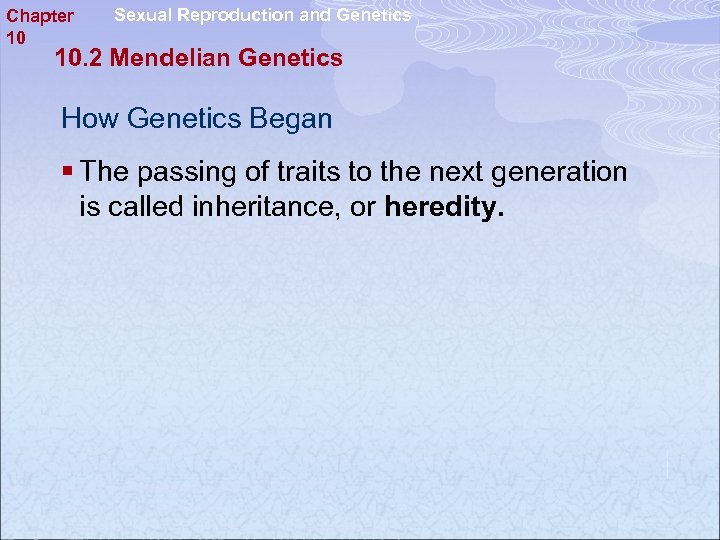 Chapter 10 Sexual Reproduction and Genetics 10. 2 Mendelian Genetics How Genetics Began §