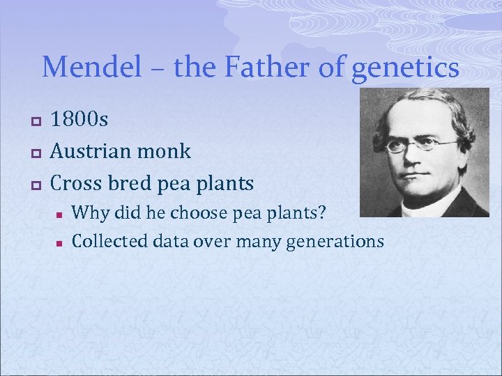 Mendel – the Father of genetics p p p 1800 s Austrian monk Cross
