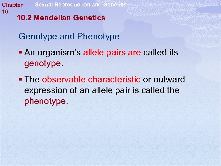 Chapter 10 Sexual Reproduction and Genetics 10. 2 Mendelian Genetics Genotype and Phenotype §