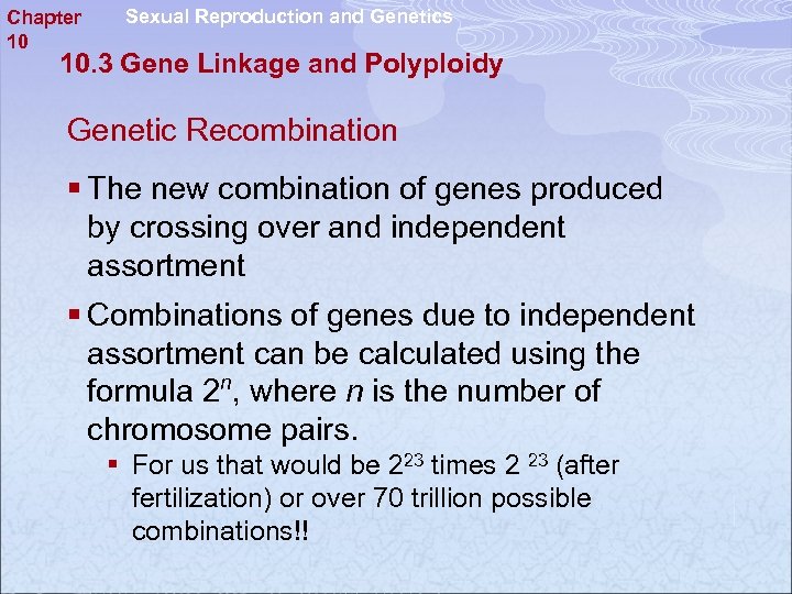 Sexual Reproduction And Genetics Chapter 10 P 8333