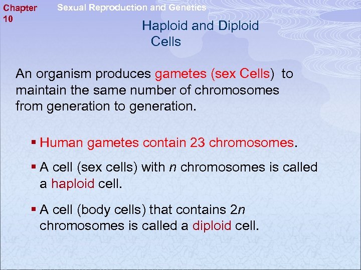 Chapter 10 Sexual Reproduction and Genetics Haploid and Diploid Cells An organism produces gametes