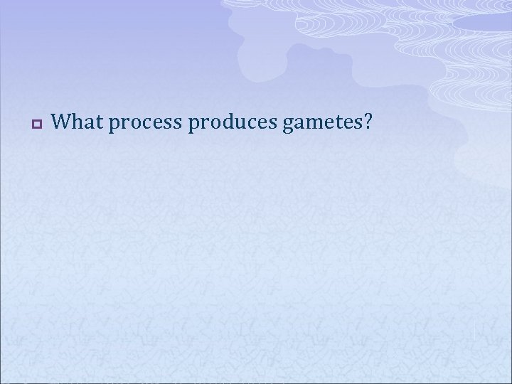 p What process produces gametes? 