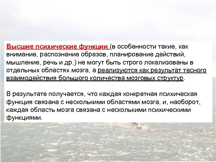 Высшие психические функции (в особенности такие, как внимание, распознание образов, планирование действий, мышление, речь