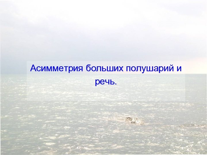 Асимметрия больших полушарий и речь. 