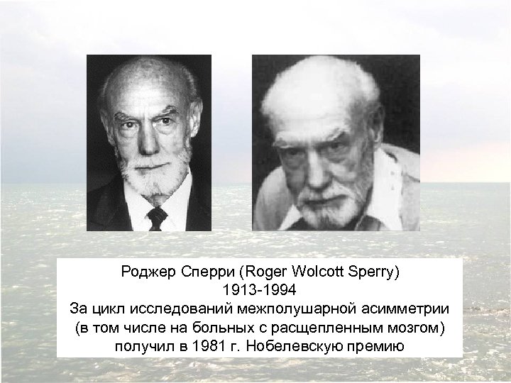 Роджер Сперри (Roger Wolcott Sperry) 1913 -1994 За цикл исследований межполушарной асимметрии (в том