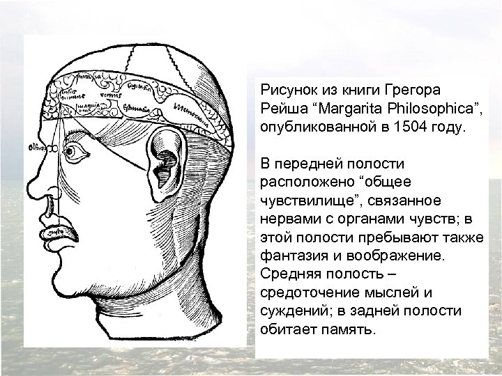 Рисунок из книги Грегора Рейша “Margarita Philosophica”, опубликованной в 1504 году. В передней полости