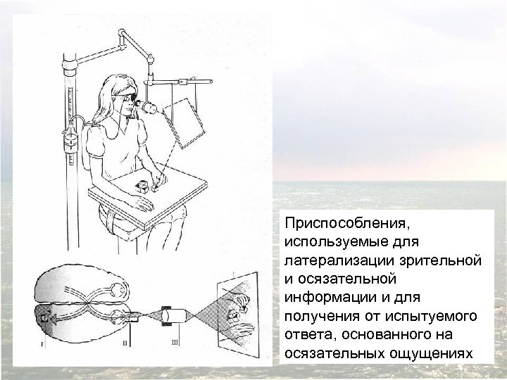 Приспособления, используемые для латерализации зрительной и осязательной информации и для получения от испытуемого ответа,