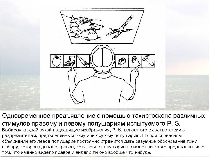 Одновременное предъявление с помощью тахистоскопа различных стимулов правому и левому полушариям испытуемого P. S.