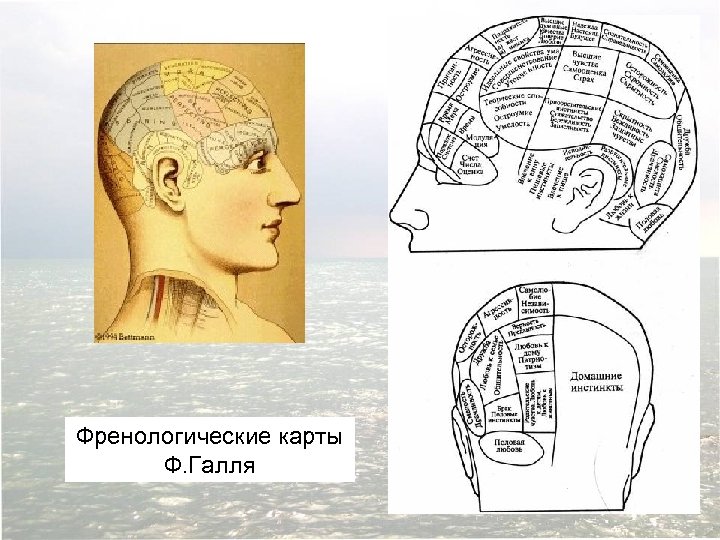 Френологические карты Ф. Галля 