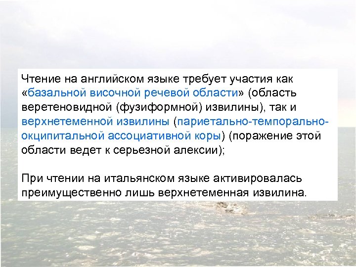 Чтение на английском языке требует участия как «базальной височной речевой области» (область веретеновидной (фузиформной)