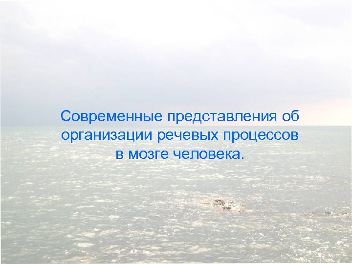 Современные представления об организации речевых процессов в мозге человека. 