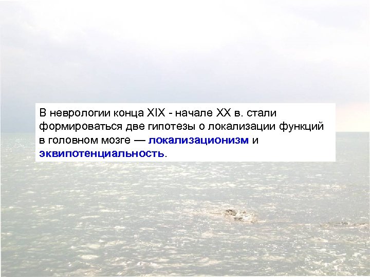В неврологии конца XIX - начале XX в. стали формироваться две гипотезы о локализации