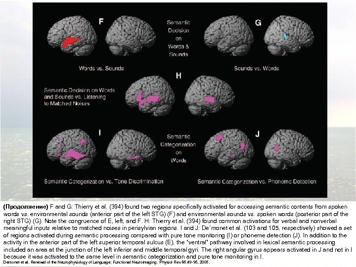 (Продолжение) F and G: Thierry et al. (394) found two regions specifically activated for