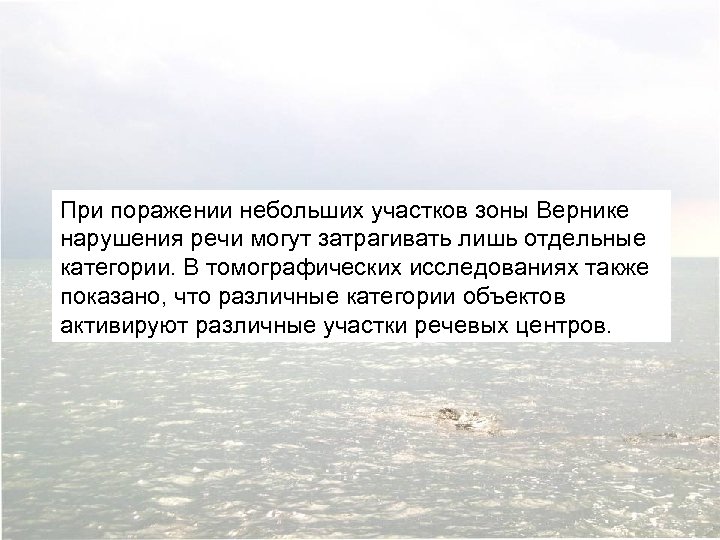 При поражении небольших участков зоны Вернике нарушения речи могут затрагивать лишь отдельные категории. В