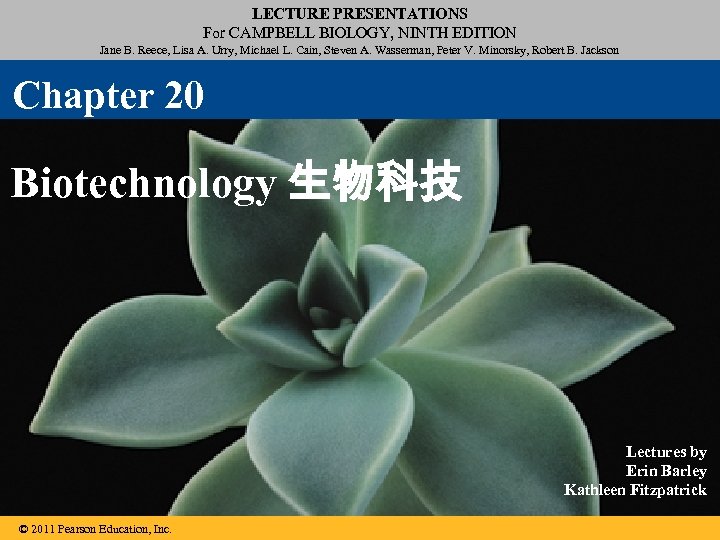 LECTURE PRESENTATIONS For CAMPBELL BIOLOGY, NINTH EDITION Jane B. Reece, Lisa A. Urry, Michael