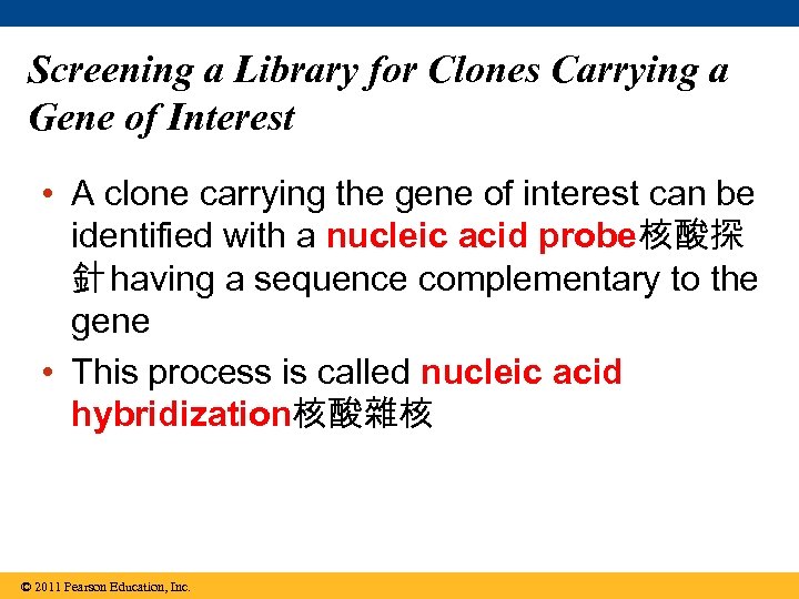 Screening a Library for Clones Carrying a Gene of Interest • A clone carrying