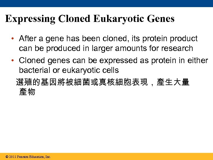 Expressing Cloned Eukaryotic Genes • After a gene has been cloned, its protein product
