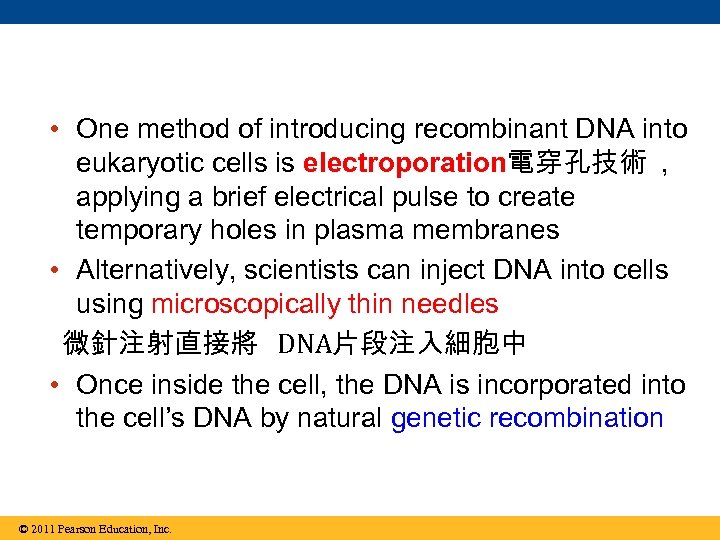  • One method of introducing recombinant DNA into eukaryotic cells is electroporation電穿孔技術 ,