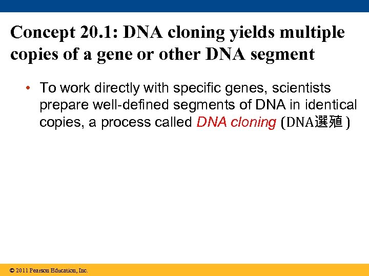 Concept 20. 1: DNA cloning yields multiple copies of a gene or other DNA