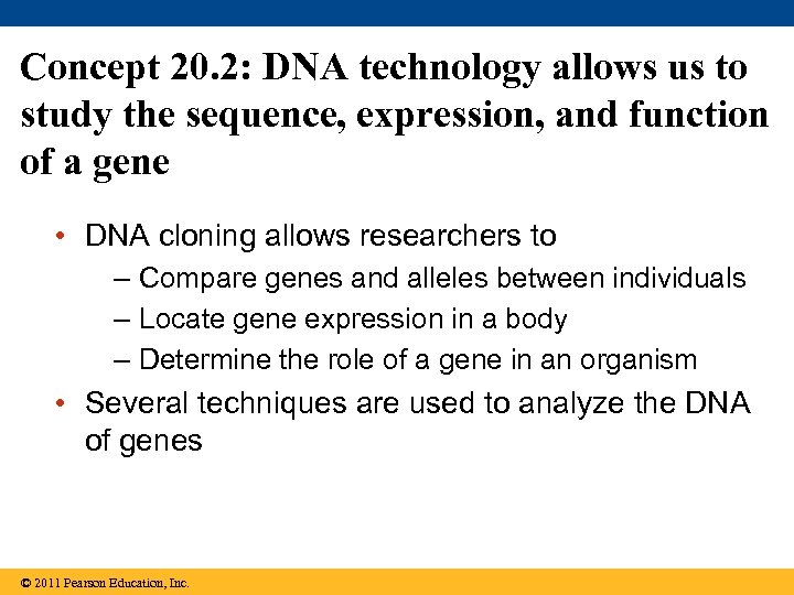 Concept 20. 2: DNA technology allows us to study the sequence, expression, and function