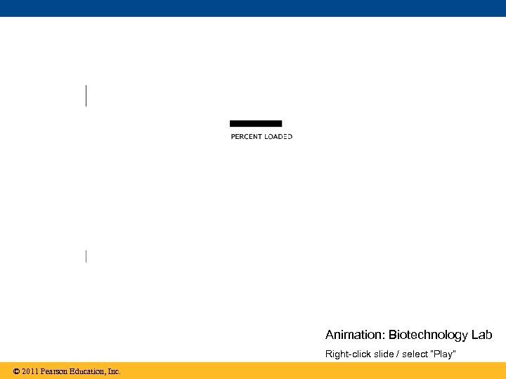 Animation: Biotechnology Lab Right-click slide / select “Play” © 2011 Pearson Education, Inc. 