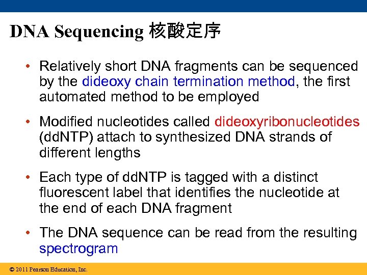DNA Sequencing 核酸定序 • Relatively short DNA fragments can be sequenced by the dideoxy