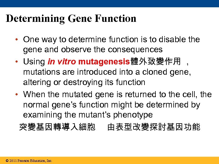 Determining Gene Function • One way to determine function is to disable the gene
