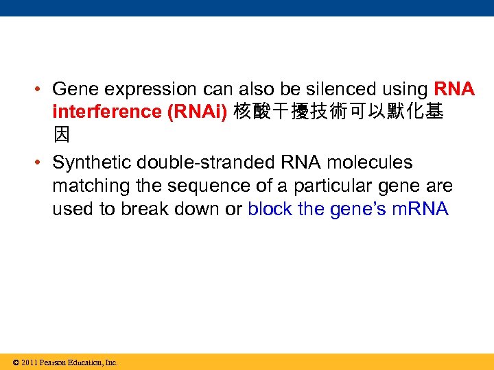  • Gene expression can also be silenced using RNA interference (RNAi) 核酸干擾技術可以默化基 因