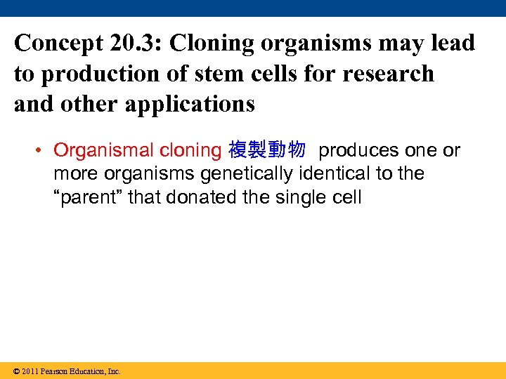 Concept 20. 3: Cloning organisms may lead to production of stem cells for research