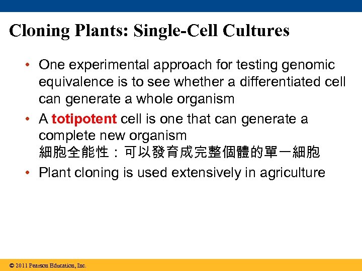 Cloning Plants: Single-Cell Cultures • One experimental approach for testing genomic equivalence is to
