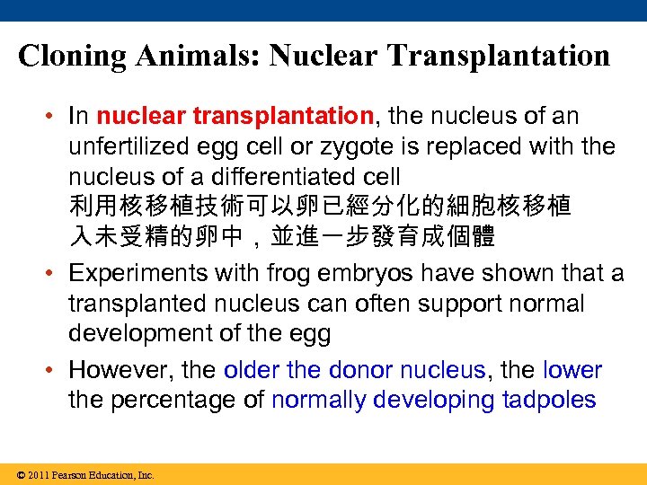 Cloning Animals: Nuclear Transplantation • In nuclear transplantation, the nucleus of an unfertilized egg