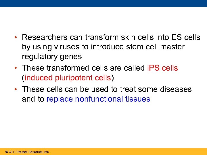  • Researchers can transform skin cells into ES cells by using viruses to