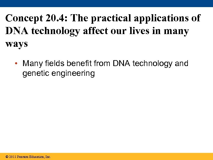 Concept 20. 4: The practical applications of DNA technology affect our lives in many