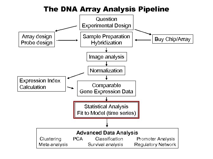 The DNA Array Analysis Pipeline Question Experimental Design Array design Probe design Sample Preparation