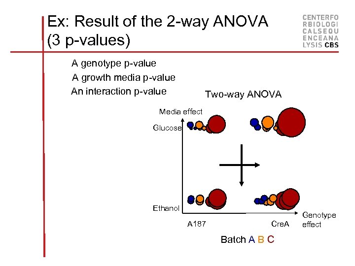 Ex: Result of the 2 -way ANOVA (3 p-values) A genotype p-value A growth